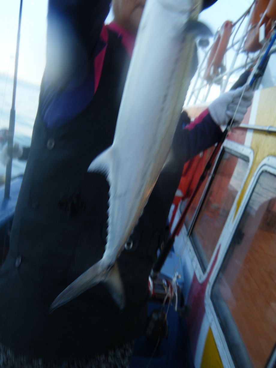 DSCF0566.JPG