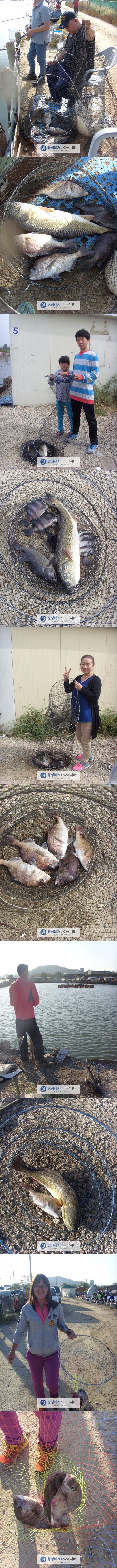 5555.jpg