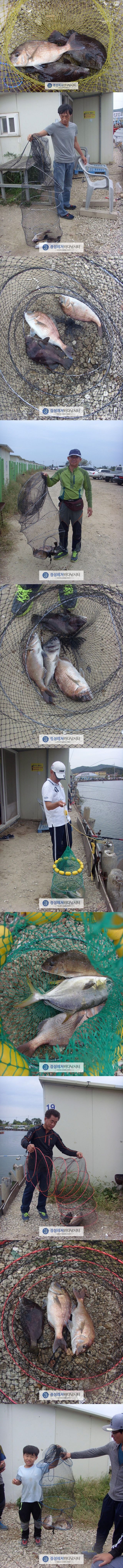 4444.jpg