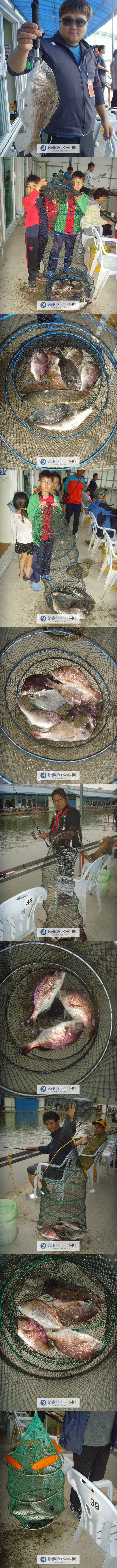444.jpg