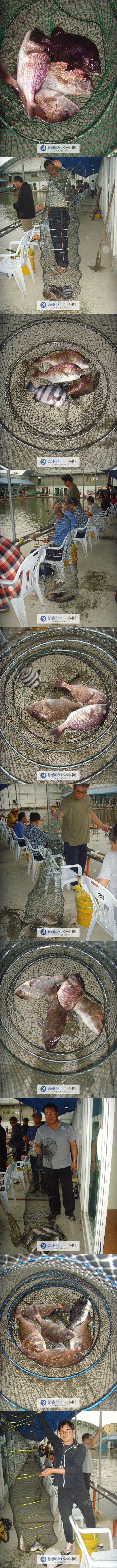555.jpg
