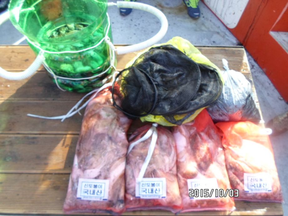 오천 회변항 쭈꾸미,갑오징어 낚시 조황/조나단호(10월 3일)