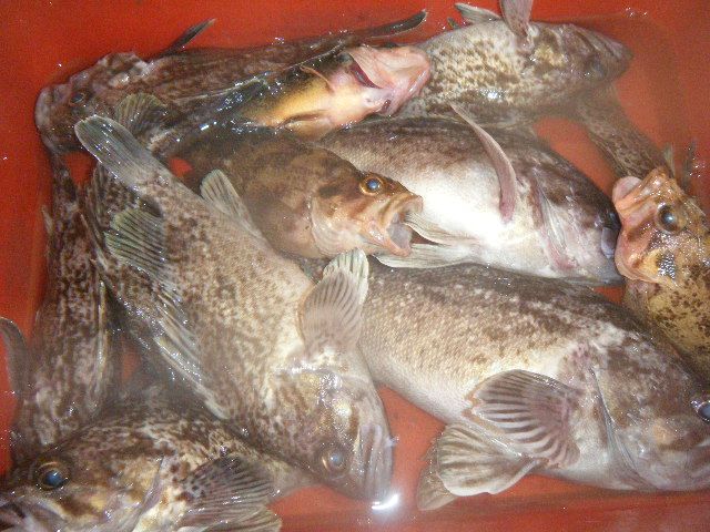 DSCF1377.JPG