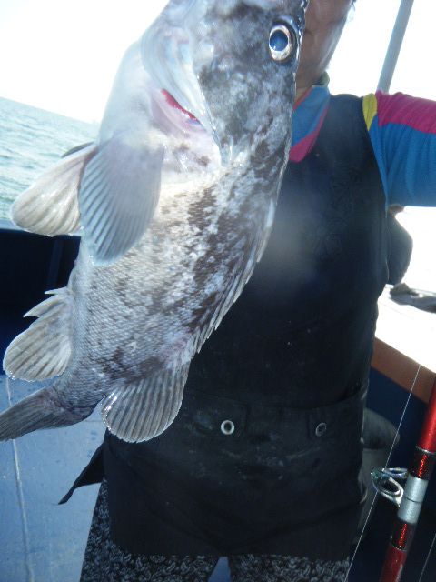 DSCF1370.JPG