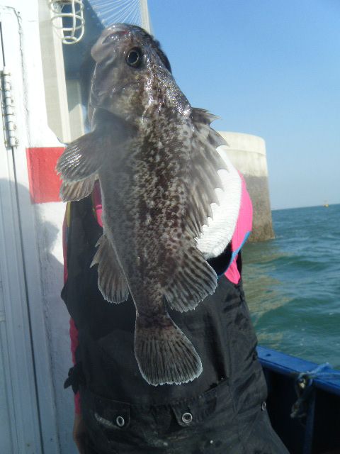 DSCF1372.JPG