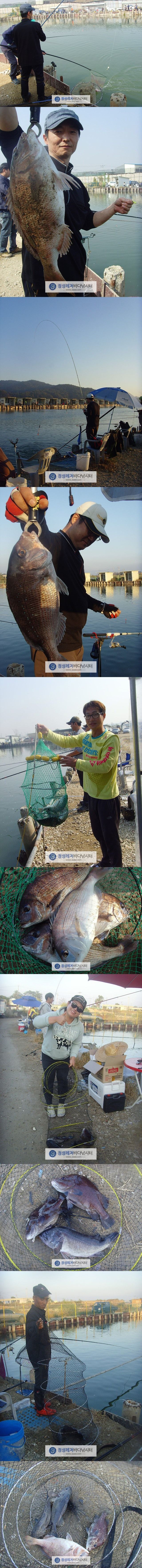 131313.jpg