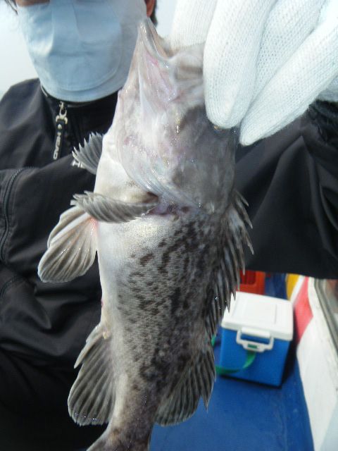 DSCF1863.JPG