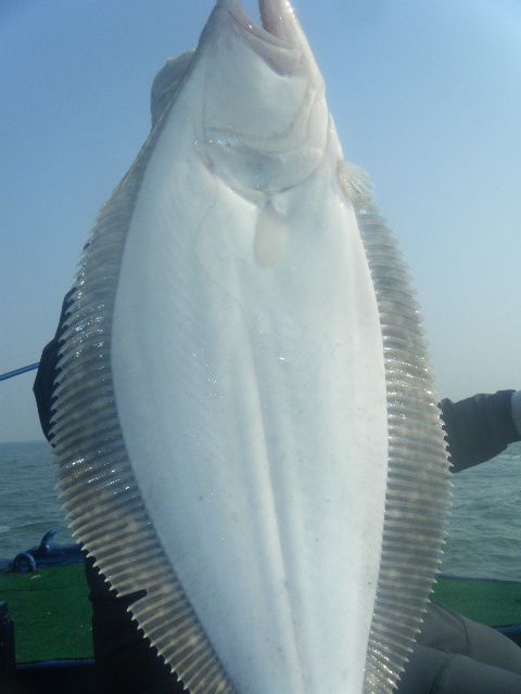 DSCF2271.JPG