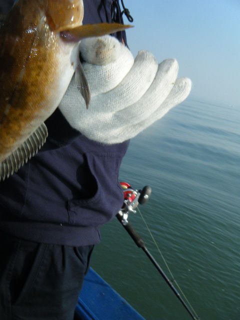 DSCF2295.JPG