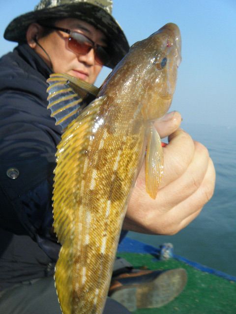 DSCF2296.JPG
