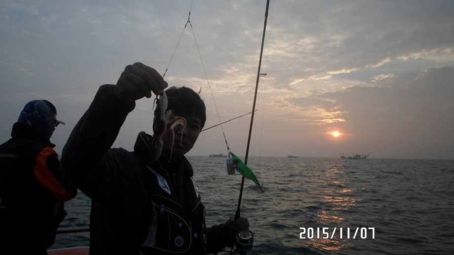 오천 회변항 쭈꾸미,갑오징어 낚시 조황/조나단호(11월6일)