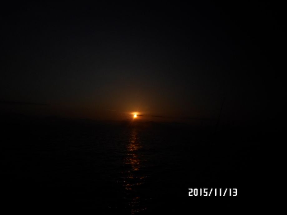 오천 회변항 쭈꾸미,갑오징어 낚시 조황/조나단호(11월12일)