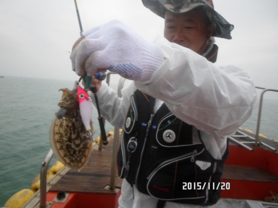 오천 회변항 쭈꾸미,갑오징어 낚시 조황/조나단호(11월20일)