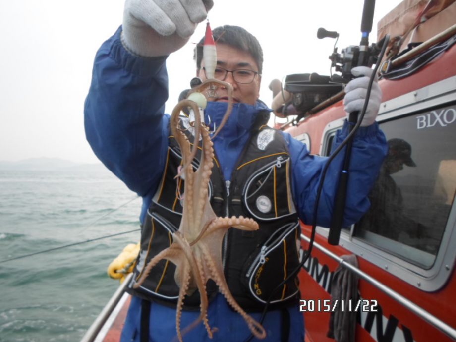오천 회변항 쭈꾸미,갑오징어 낚시 조황/조나단호(11월22일)