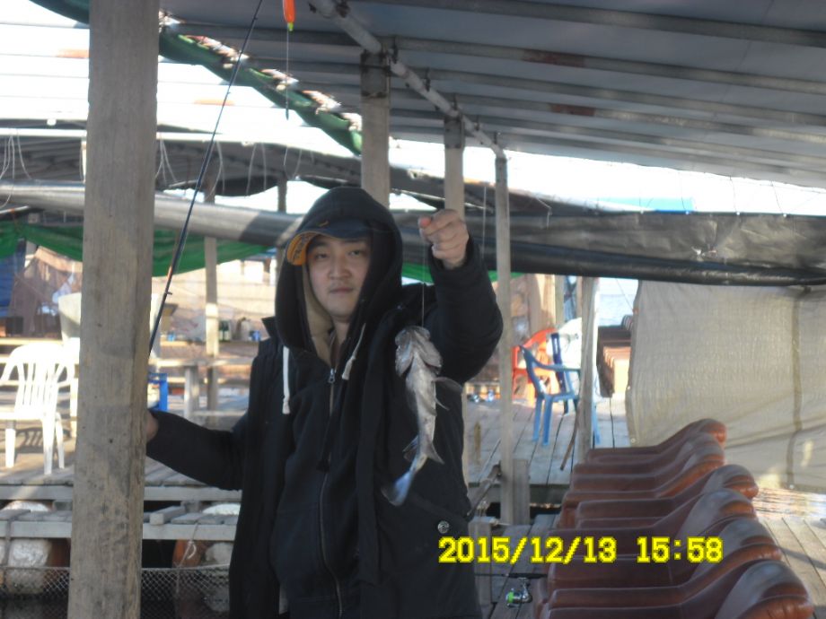 SAM_3874.JPG