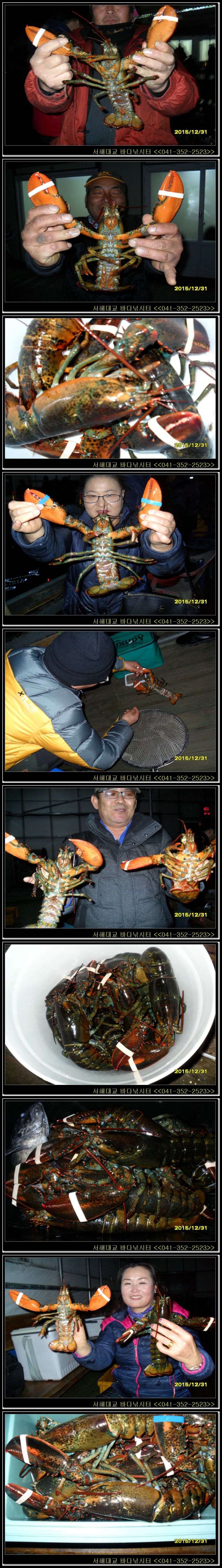 4.jpg