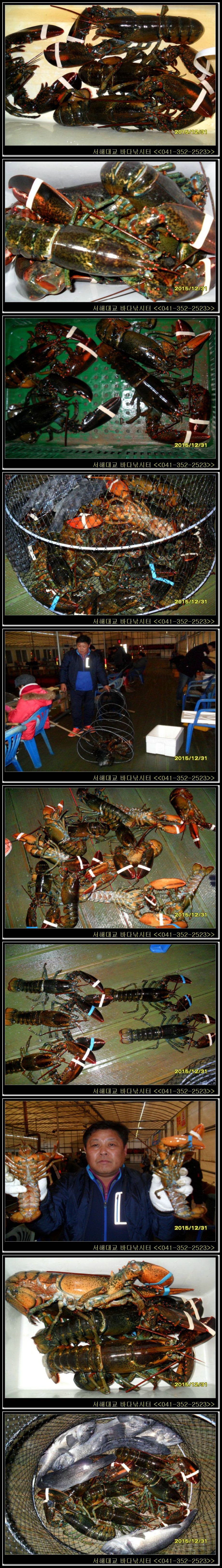 5.jpg