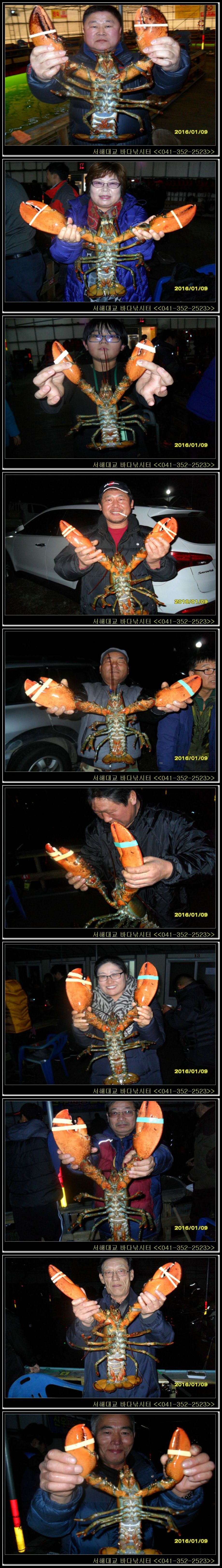 2.jpg