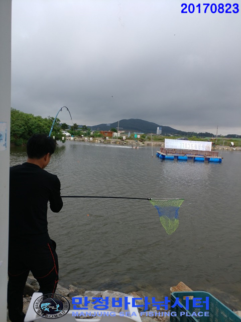 바다사랑닷컴