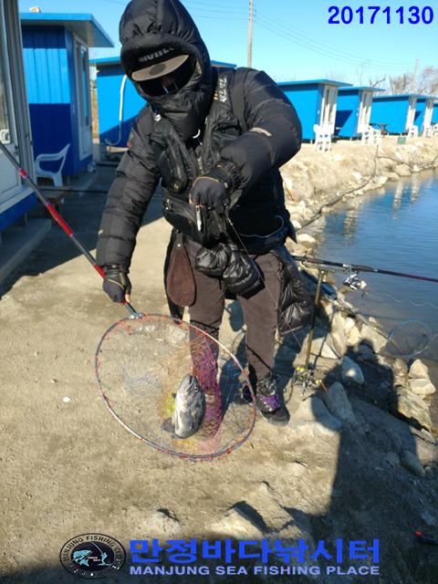 바다사랑닷컴