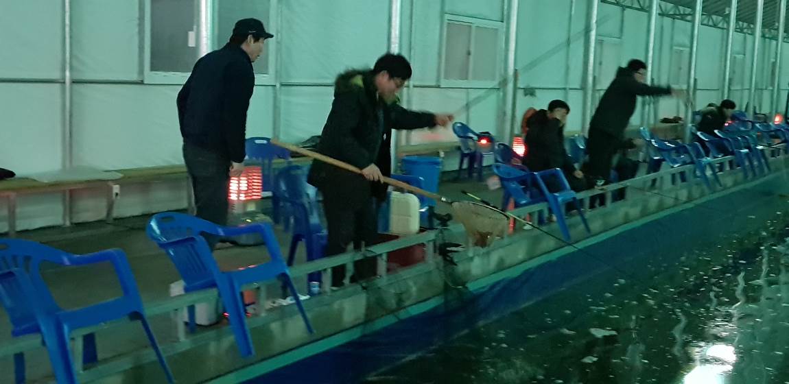 황산 초지 사계절 바다낚시터 3월5일 조황정보. : 낚시사랑