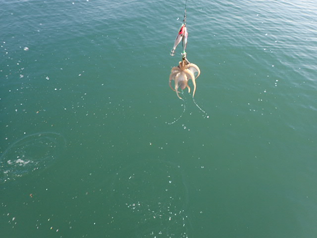PB030019.JPG