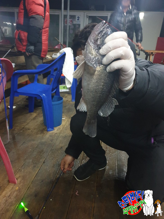 KakaoTalk_20190223_065633403_18.jpg