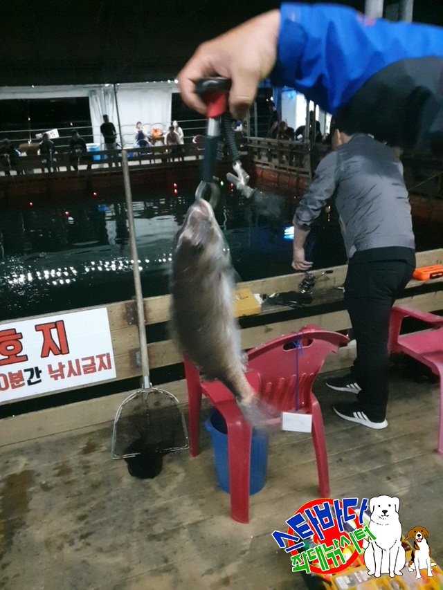 KakaoTalk_20190526_070555584_21.jpg