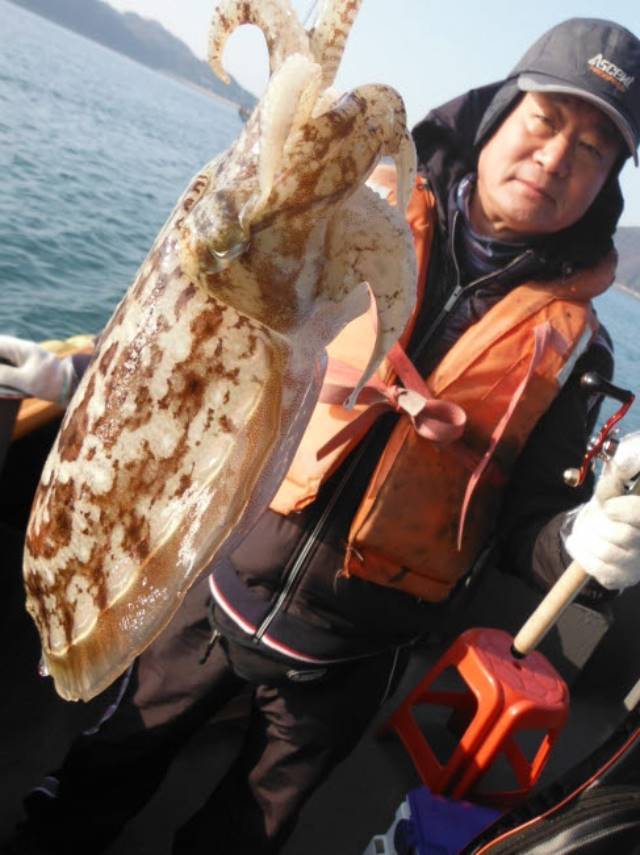 22인승 돌핀호 / 대구 조황 대박!!  : 낚시사랑