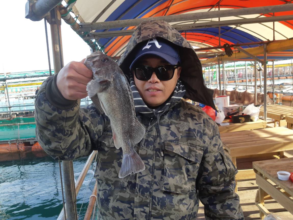 당진11월27일조황 : 낚시사랑