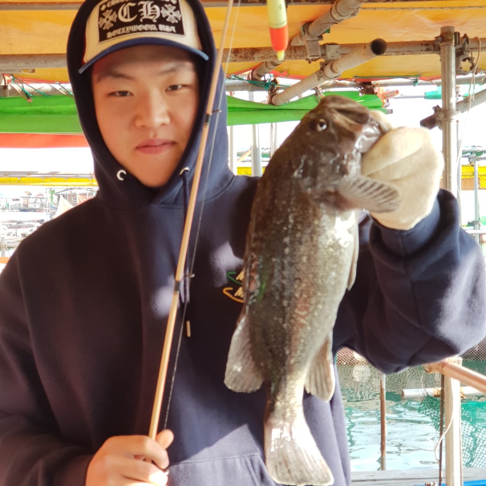 당진12월20일조황 : 낚시사랑