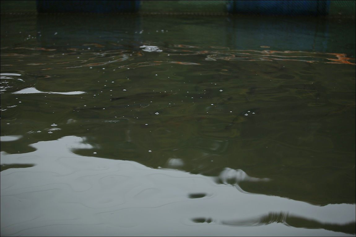 AQ8C8302.JPG