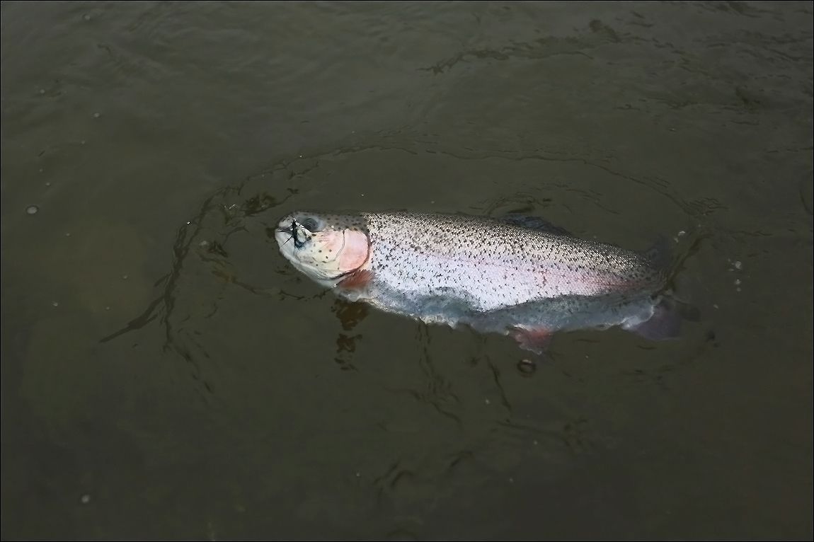 AQ8C4776.JPG