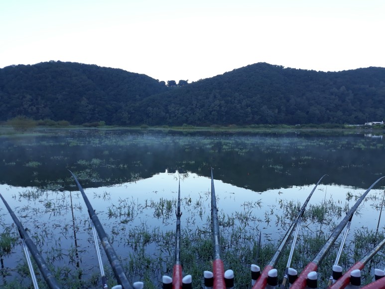 20180929_064635.jpg