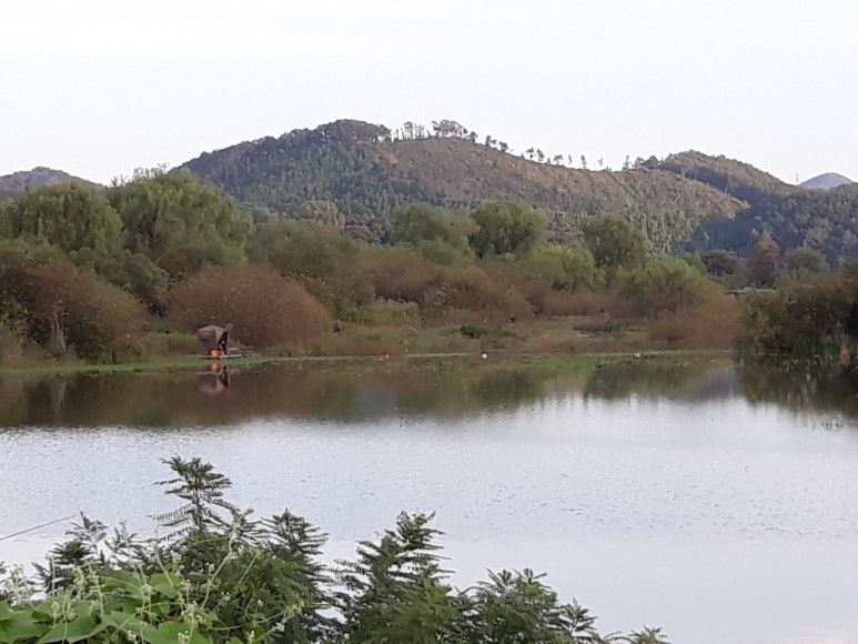 20180928_173353.jpg