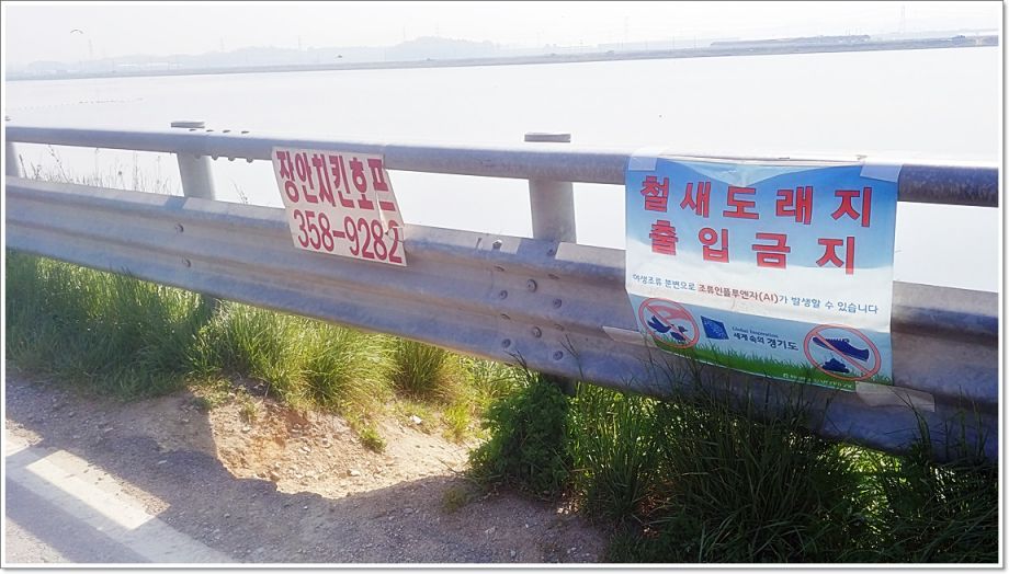 20190510_091833_HDR.jpg