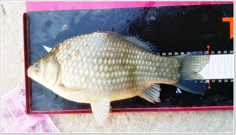 20190523_055214_HDR.jpg