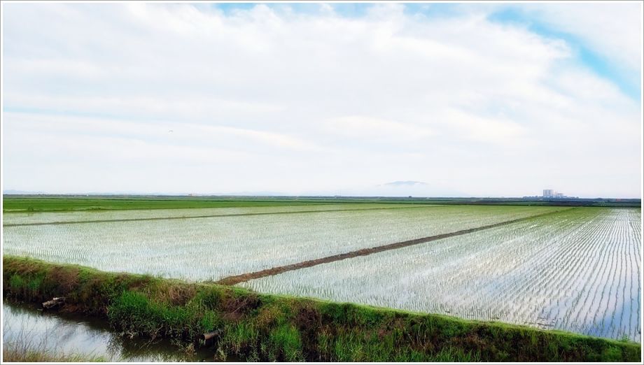 20200615_065157_HDR.jpg