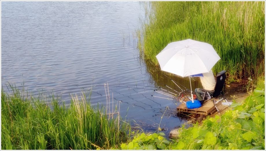 20200615_065048_HDR.jpg