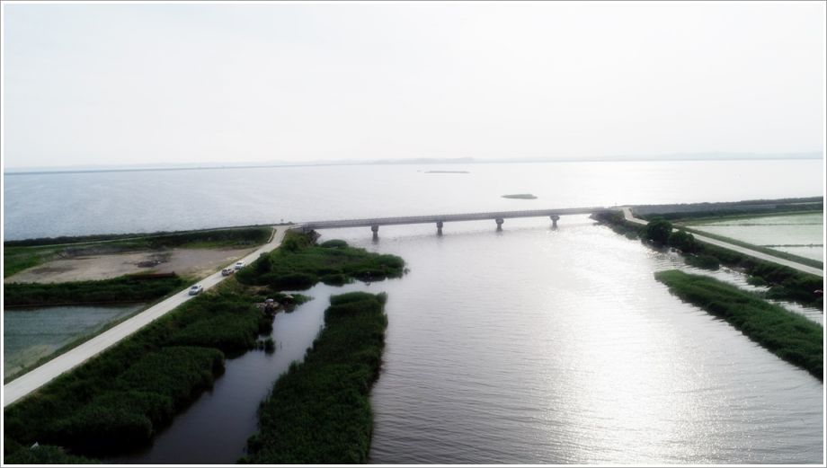 DJI_0003.JPG