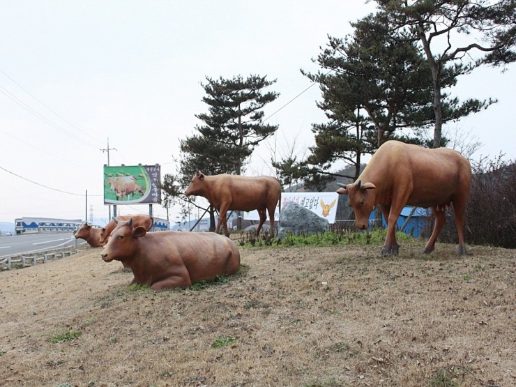 동산교낚시 > 광시한우 비손정육점 : 낚시사랑