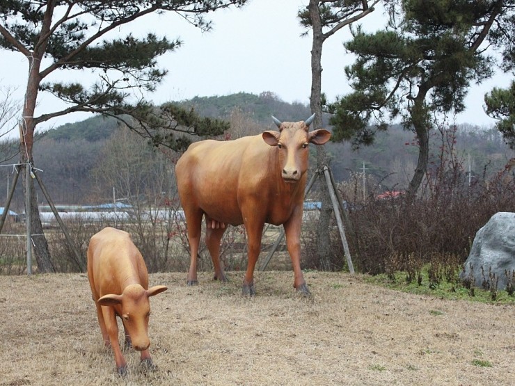 동산교낚시 > 광시한우 비손정육점 : 낚시사랑