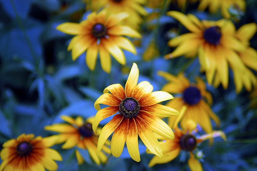 1�� ����