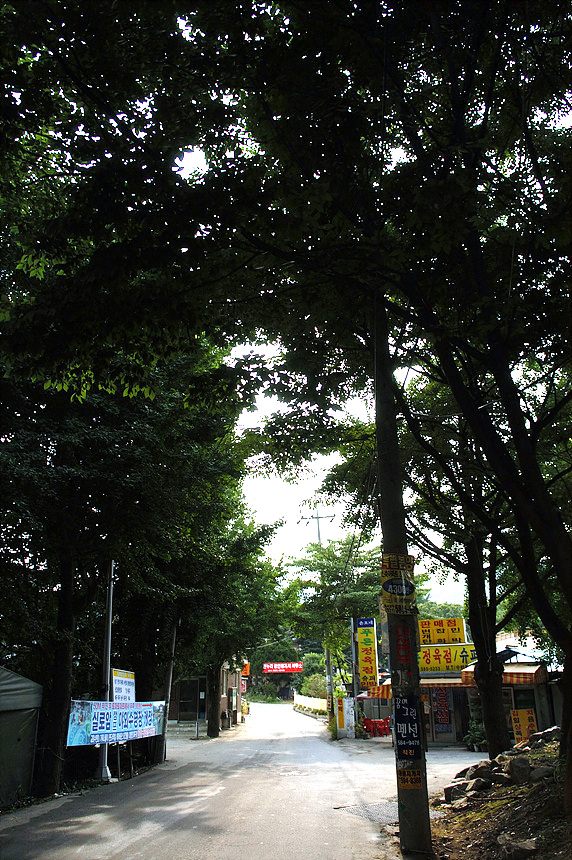 3�� ����