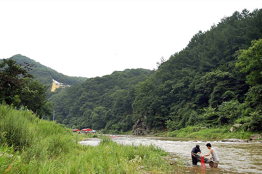 5�� ����