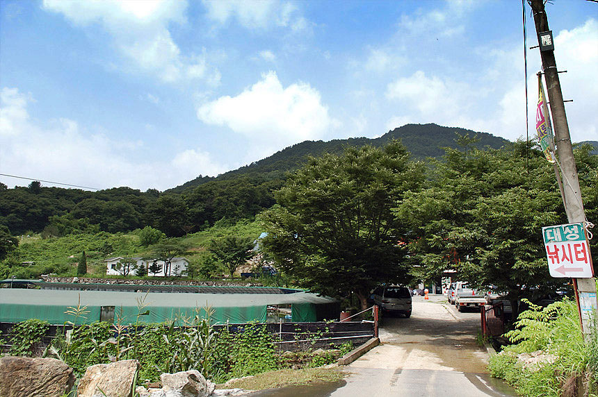 10�� ����