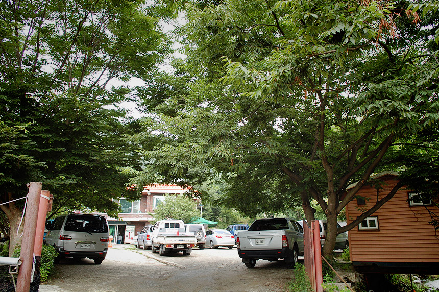 11�� ����