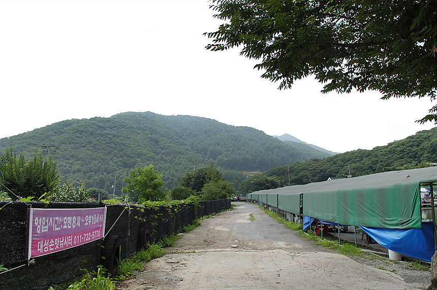 13�� ����