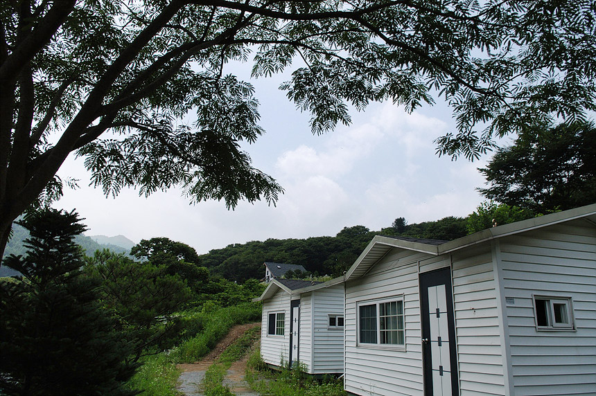 15�� ����