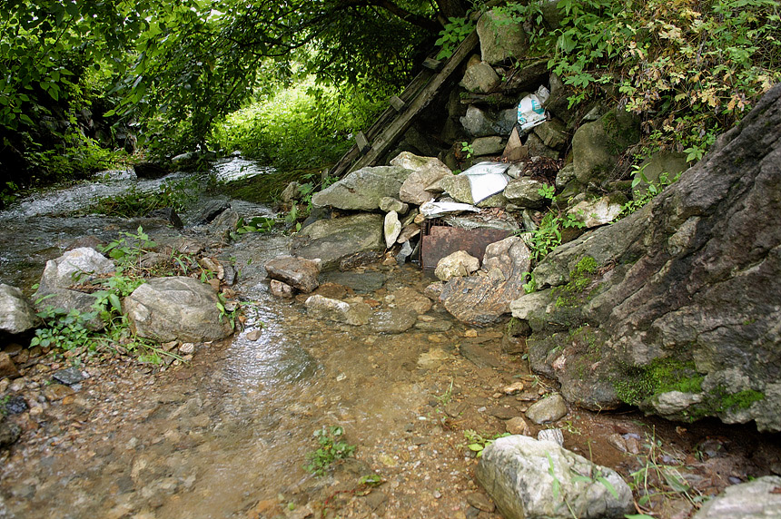 17�� ����